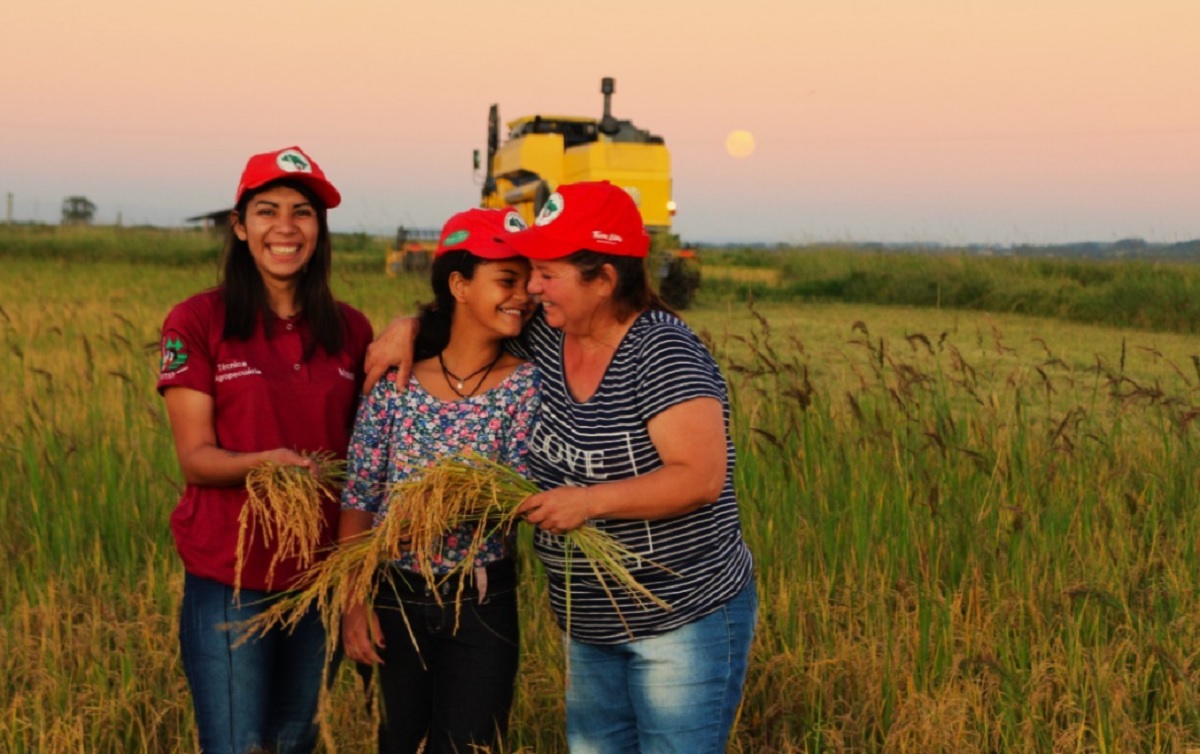 MST prepara festa da maior colheita de arroz agroecológico da América Latina