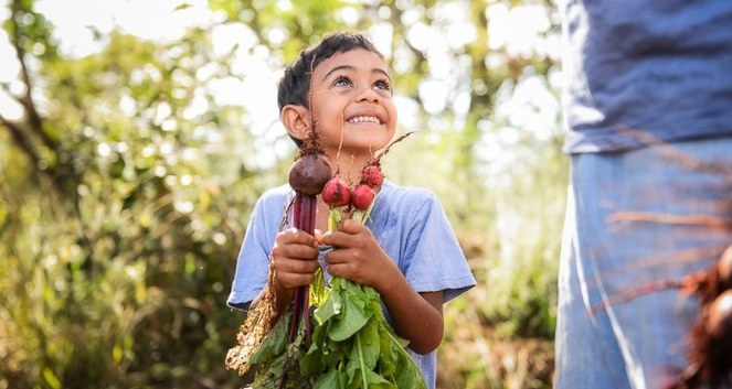 Lula retoma Plano Safra da Agricultura Familiar com juros baixos para produção de alimentos