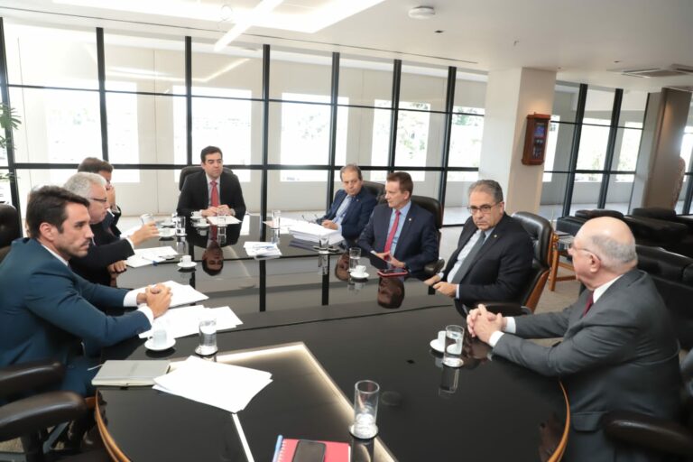 Zarattini cobra mudanças na concessão das empresas distribuidoras de energia elétrica