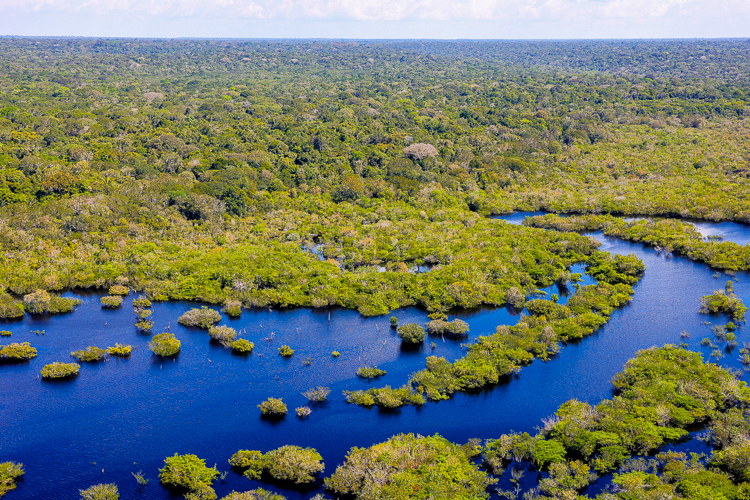 COP 30: governo Lula destina R$ 126 mi ao Fundo Amazônia