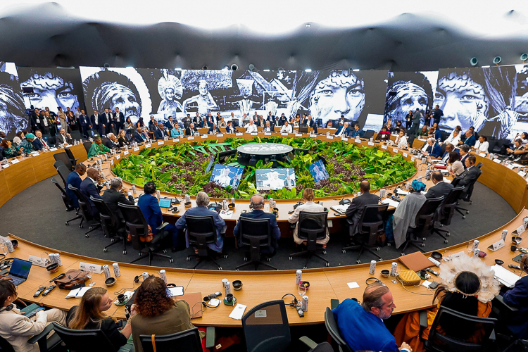 Fundo Florestas Tropicais para Sempre alcança U$ 5,5 bilhões em aportes